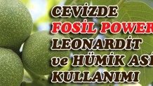 Cevizde Leonardit Kullanımı
