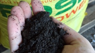 Nasıl Kullanılır?